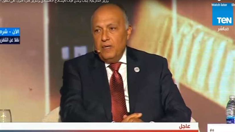 شكري: سنعمل على تفعيل