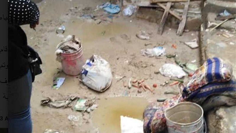 بالصور.. التضامن