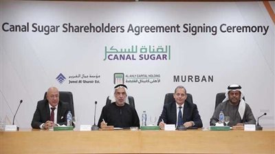 مليار دولار لإنشاء مصنع سكر غرب المنيا