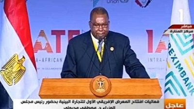 الاتحاد الافريقي: الانتهاء من إعادة هيكلة الاتحاد في 2021