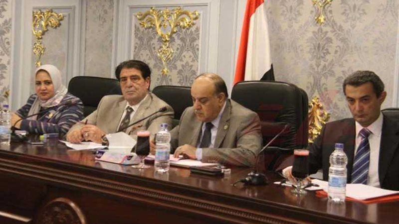 الشئون العربية بالنواب: