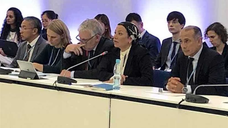 اختيار مصر وألمانيا