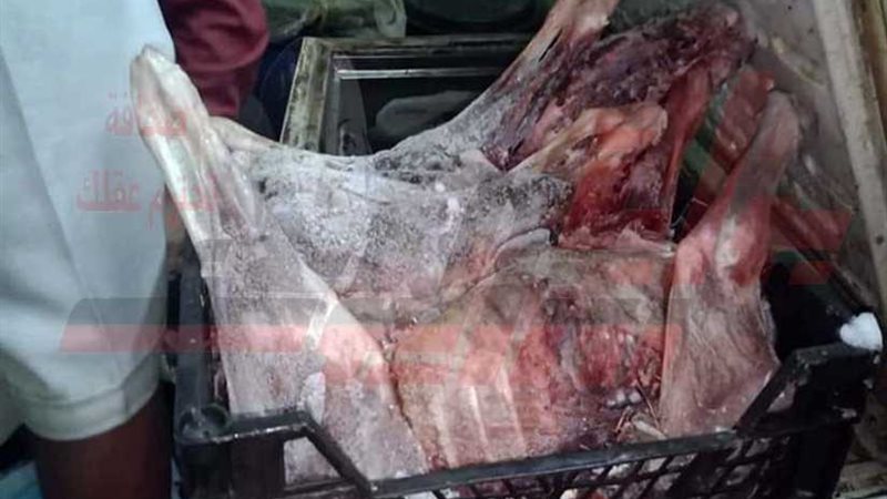 بالفيديو والصور..