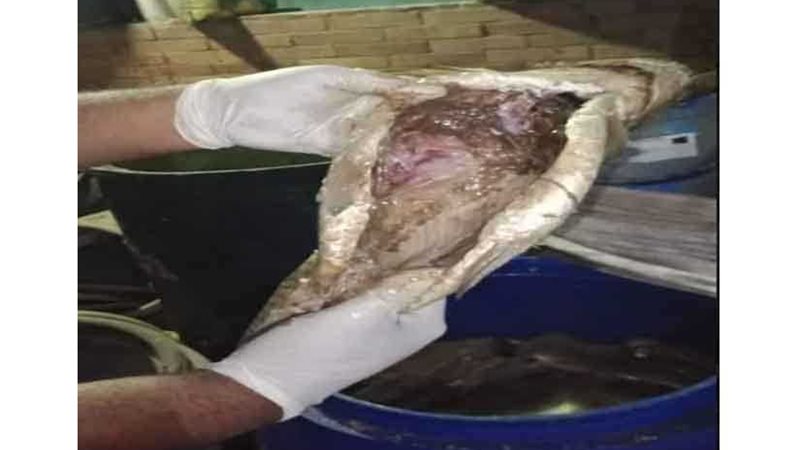 ضبط 10 أطنان فسيخ