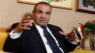 وزير ألماني: مصر محور الاستقرار في أفريقيا