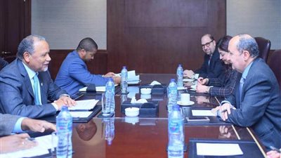 وزير التجارة يبحث تعزيز التعاون مع دول الكوميسا