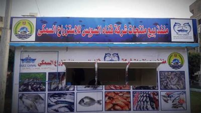 منافذ الاستزراع السمكي تغطي أنحاء الإسماعيلية