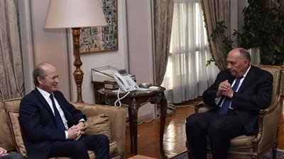 شكري يبحث أبرز مُستجدات الأزمة السورية مع المبعوث الشخصي للرئيس الفرنسي لدمشق