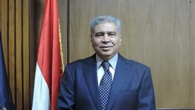 محافظ المنيا يتابع أعمال حملة نظافة بحي جنوب المدينة