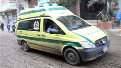 إصابة 3 أطفال بالتسمم بالبحيرة