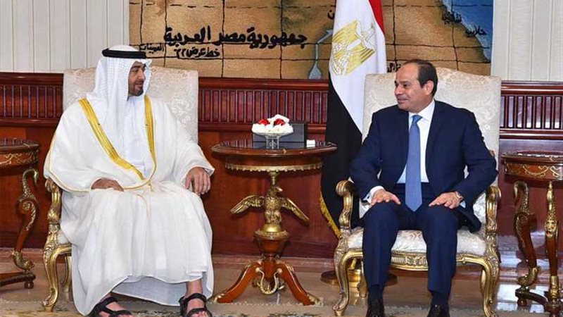 الرئيس السيسي وولي