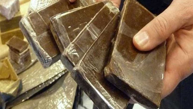 ضبط 50 طربة حشيش