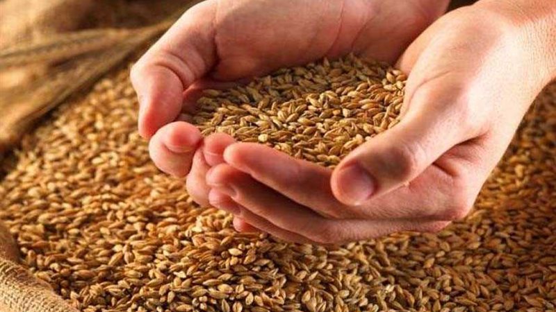 السلع التموينية تتعاقد