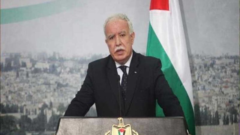 المالكى: نرفض قرار