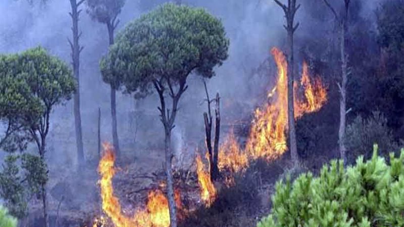 إخلاء حديقة تشيستر