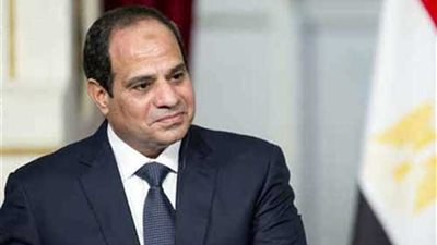 لقاءات مكثفة للرئيس السيسي في أولى زيارته للنمسا