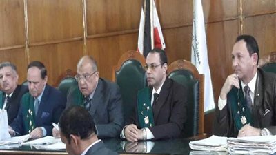 الإدارية العليا تلزم الشركات المتعاقدة مع الدولة بالتطور التكنولوجي