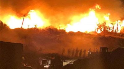 السيطرة على حريق بزراعات النخيل في الوادي الجديد