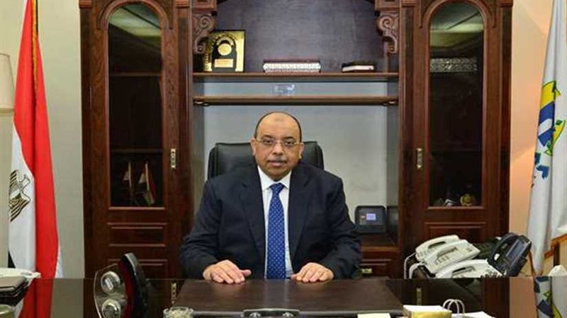 التنمية المحلية: