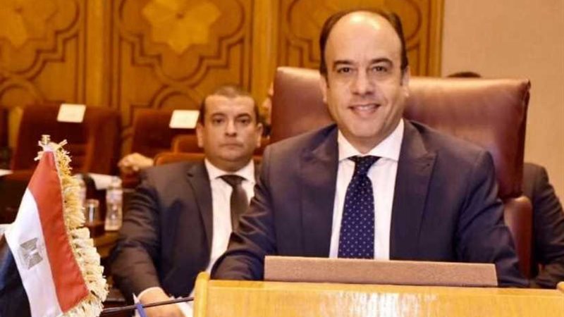 مصر تؤكد دعمها للرئيس