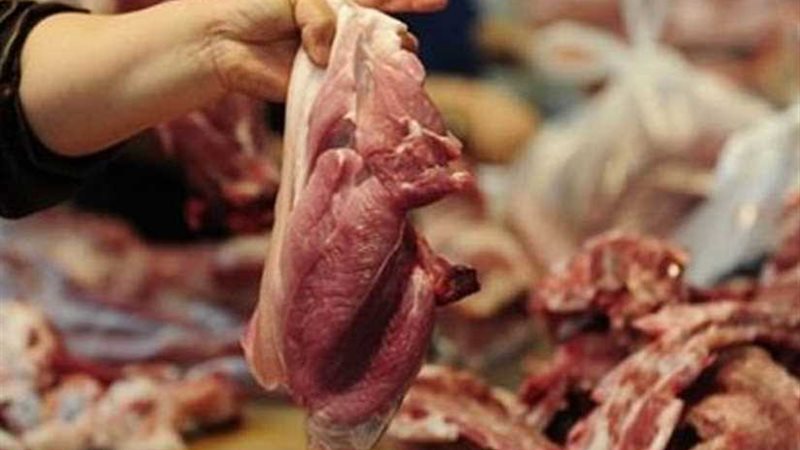 الصحة: إعدام 241