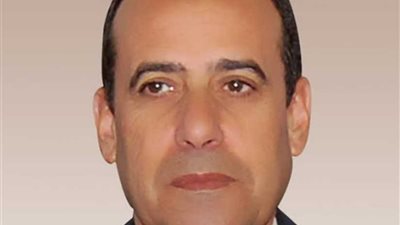 فتح اللجان وبدء الانتخابات التكميلية في العريش