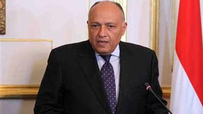 وزير الخارجية : زيارة الرئيس السيسي إلى فيينا تعزز علاقات البلدين