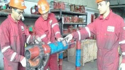 المنوفية تجني ثمار المشروعات الرئاسية بتشغيل الشباب