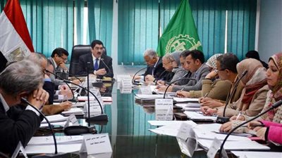 محافظ القليوبية: مهلة للمستثمرين لتوصيل المرافق وبدء الإنتاج بالخانكة