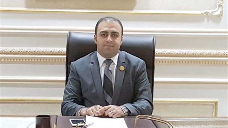 نائب المحلة يتقدم