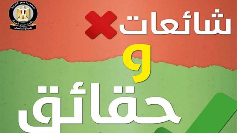 بالإنفوجراف.. الحكومة