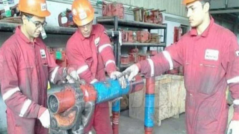 المنوفية تجني ثمار