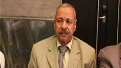 داوود سليمان يطالب بدعم مراكز القرى... وفتح مقرات لتوزيع السلع الغذائية لتجار الوادي الجديد