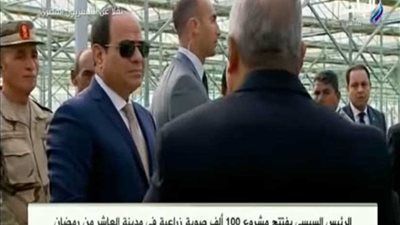 تنفيذًا لأوامر السيسي.. ثورة خضراء لخفض أسعار الغذاء (فيديو)