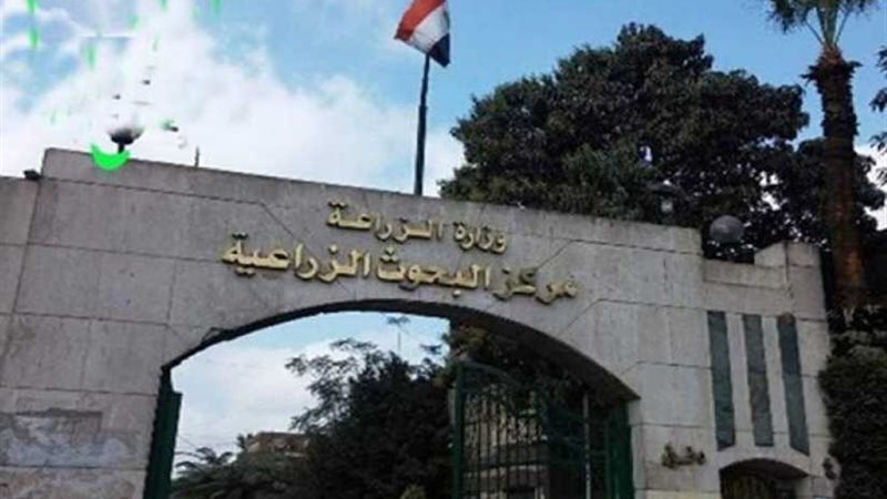 رئيس البحوث الزراعية