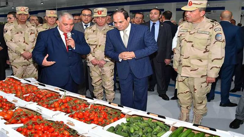 موجز 24 .. تنفيذًا