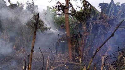 السيطرة على حريق هائل بمزرعة فواكهة بكفر الدوار 