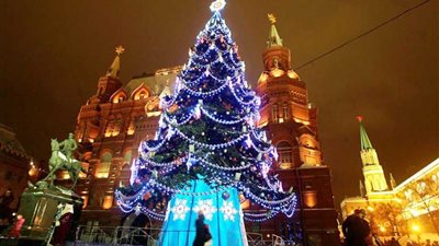 رحلة شجرة الكريسماس من العصور الوسطى إلى الآن