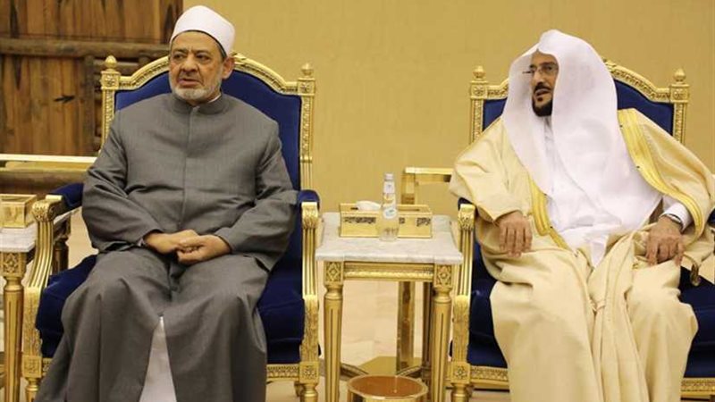 الإمام الأكبر يصل