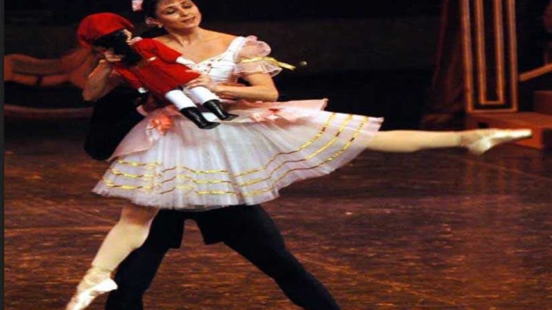 كسارة البندق في احتفالات