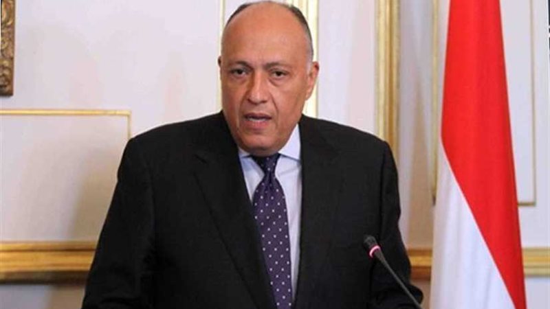 شكري يؤكد دعم مصر