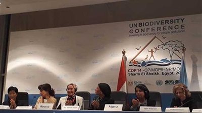 مسلسل نجاح سياحة المؤتمرات في مصر.. عرض مستمر عام 2018