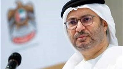 وزير الدولة الاماراتي للشئون الخارجية : عودة سوريا للجامعة العربية تحتاج توافقا عربيا