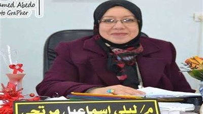 بدء امتحانات الفصل الدراسي الأول بشمال سيناء