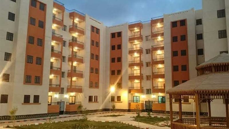 زرزارة بورسعيد والغردقة