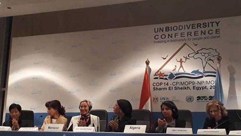 مسلسل نجاح سياحة