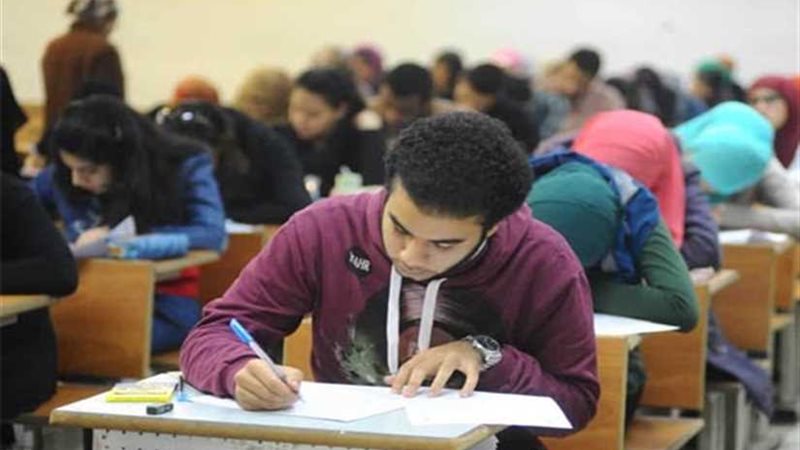 تعليم الإسكندرية