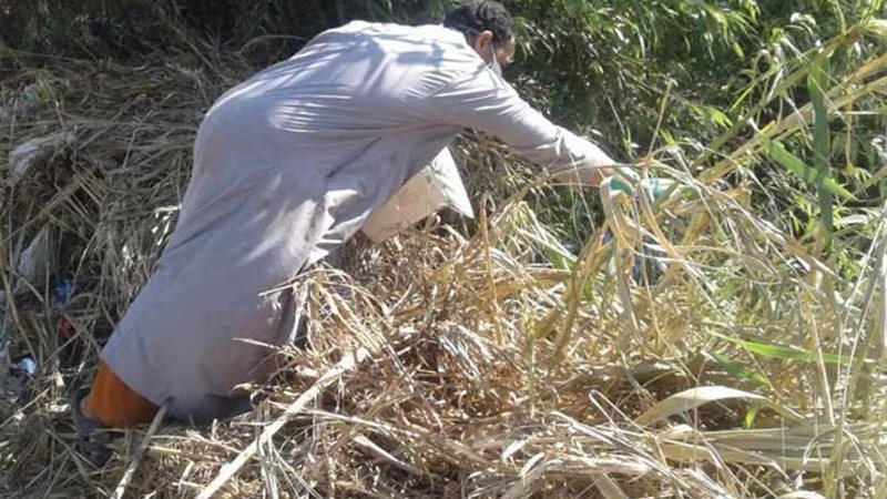 الانتهاء من تنفيذ