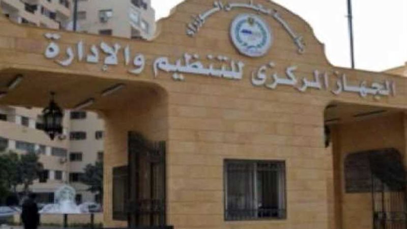 التنظيم والإدارة: