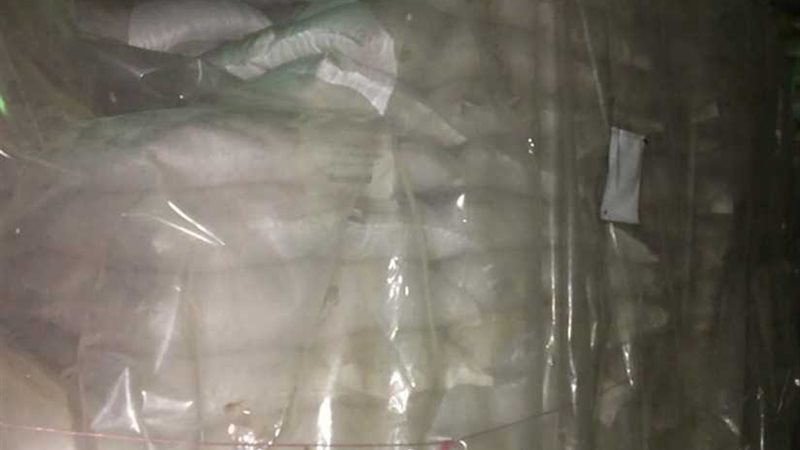 بالصور.. صحة إسكندرية